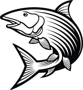 Bonefish Barehanded!